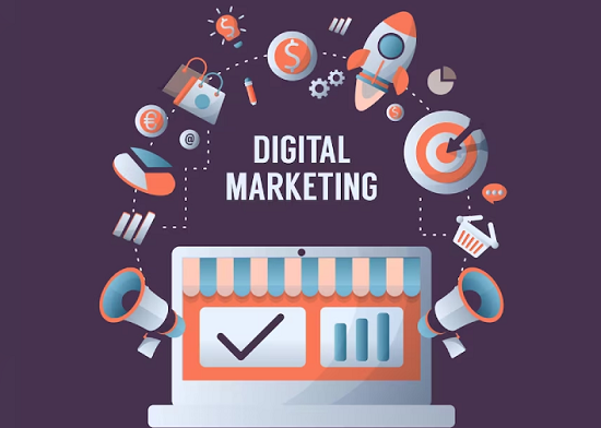 Free Home Delivery Only Cash Payment