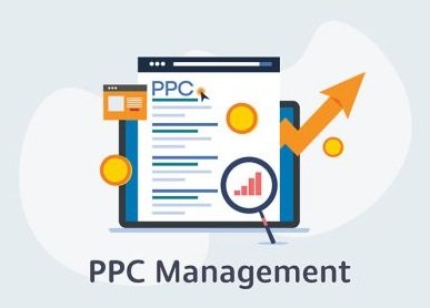 Free Home Delivery Only Cash Payment