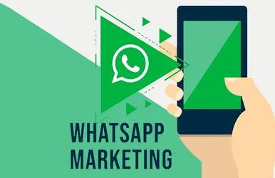 Free Home Delivery Only Cash Payment