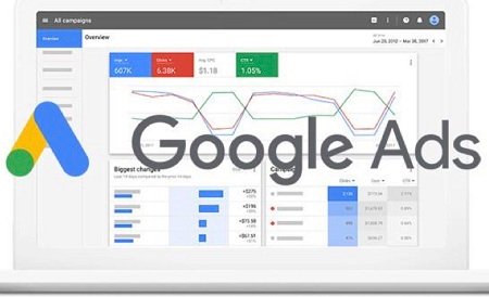 Free Home Delivery Only Cash Payment