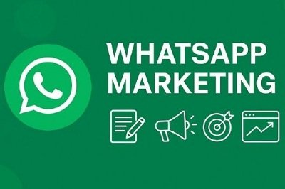 Free Home Delivery Only Cash Payment