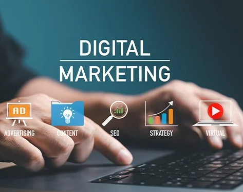 Free Home Delivery Only Cash Payment