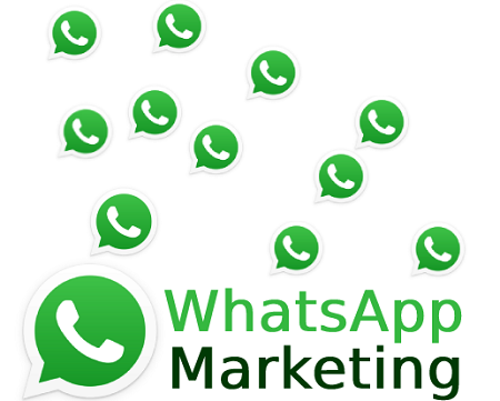Free Home Delivery Only Cash Payment