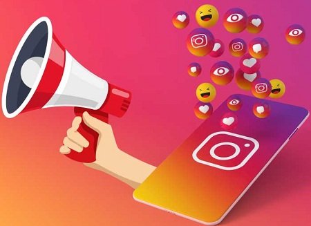 Free Home Delivery Only Cash Payment