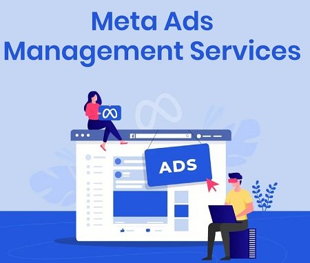 Free Home Delivery Only Cash Payment