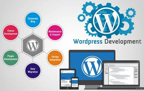 Free Home Delivery Only Cash Payment