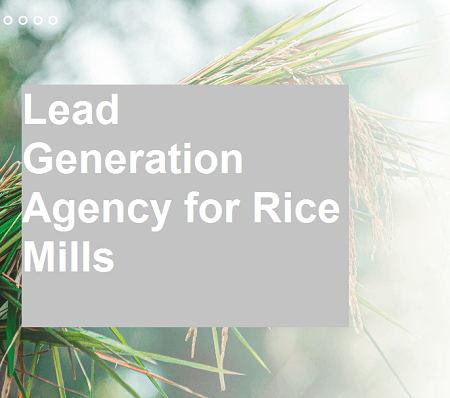 Google Ads Consultant for Rice Mill Owners in Cuttack for Wholesale Buyer Enquiries