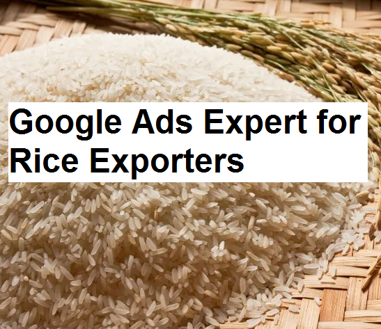 Google Ads Expert for Rice Exporters in Amritsar for Buyer Leads
