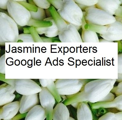 Jasmine Exporters Google Ads Specialist in Madurai for Export Business Leads